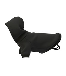 Dog?s hoodie