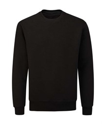 Essential Organic Sweatshirt