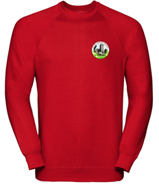 Catwg Primary School Sweatshirt (Adult Sizes)