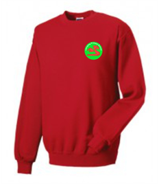 Llangiwg Primary Sweatshirt (Kids Sizes)