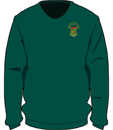 Llangatwg Crew Neck Sweatshirt (Age 9-10 to 11-12