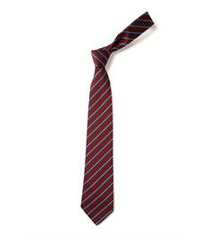 Clip on School Tie - Single Stripe (16" Length)