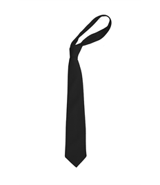 Clip on School Tie - Plain (14" length)