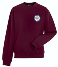 Gnoll Primary Sweatshirt (Adult Sizes) NO EXCHANGES OR REFUNDS