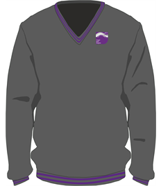 Ysgol Bae Baglan V-Neck Pullover (Adult Large to XXL)