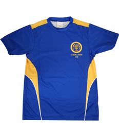 Cwmtawe School - PE T-shirt (Adult Sizes)
