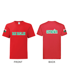 Ysgol Bae Baglan - Glyndwr House T-Shirt (NO EXCHANGES / NO RETURNS