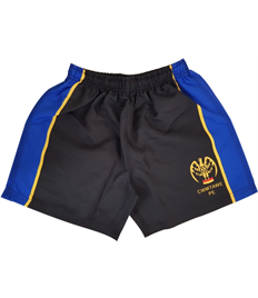 Cwmtawe School - PE Short (Adult Sizes)