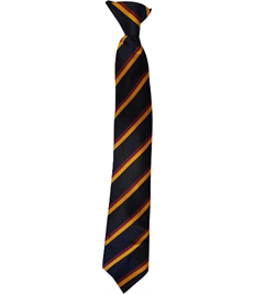Dwr-y-Felin Comprehensive School Clip On Tie