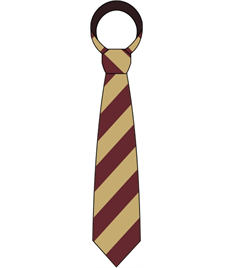 Cefn Saeson School Tie