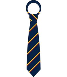 Dwr-y-Felin Comprehensive School Tie
