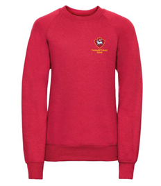 Cwm Nedd Primary School - Sweatshirt (Adult) NO EXCHANGES OR REFUNDS