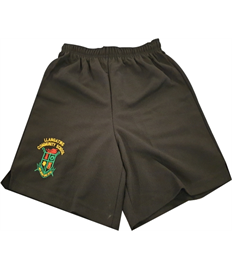 Llangatwg School PE Shorts (Adults)